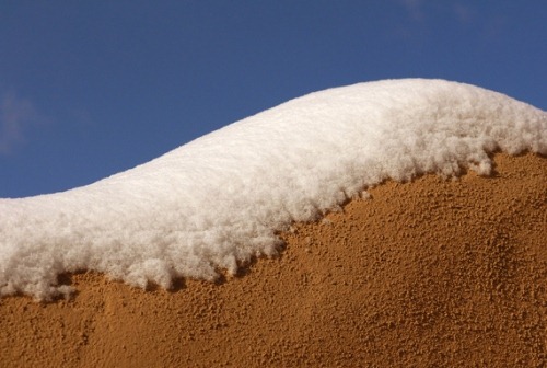 snow in sahara