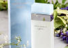 D&G LIGHT BLUE 100ML 150KM