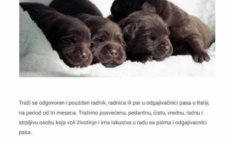 Potreban radnik u odgajivačnici pasa u Italiji