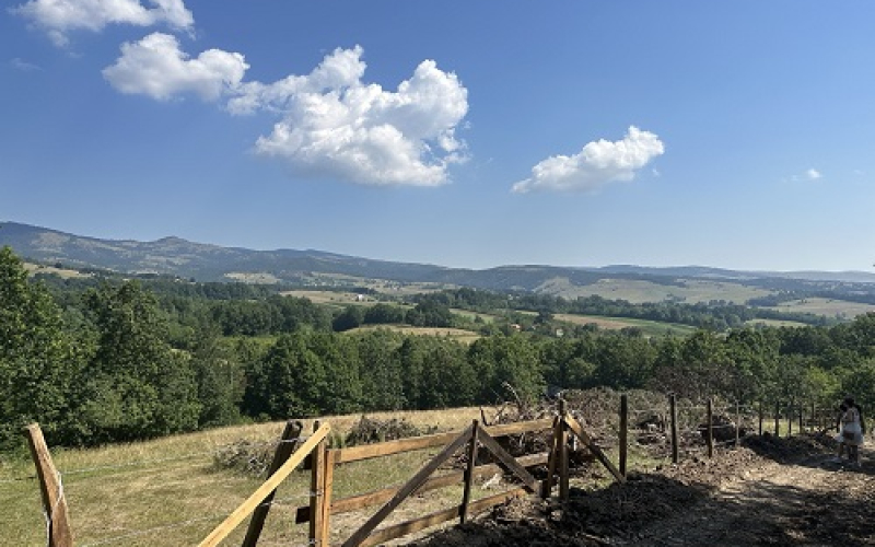 Na prodaju zemljiste ukupne povrsine 80 ari, Tometino polje - Divčibare